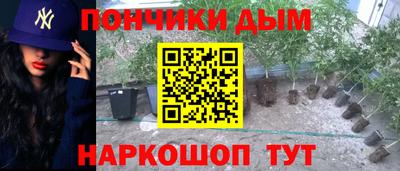 PSILOCYBIN Канаш