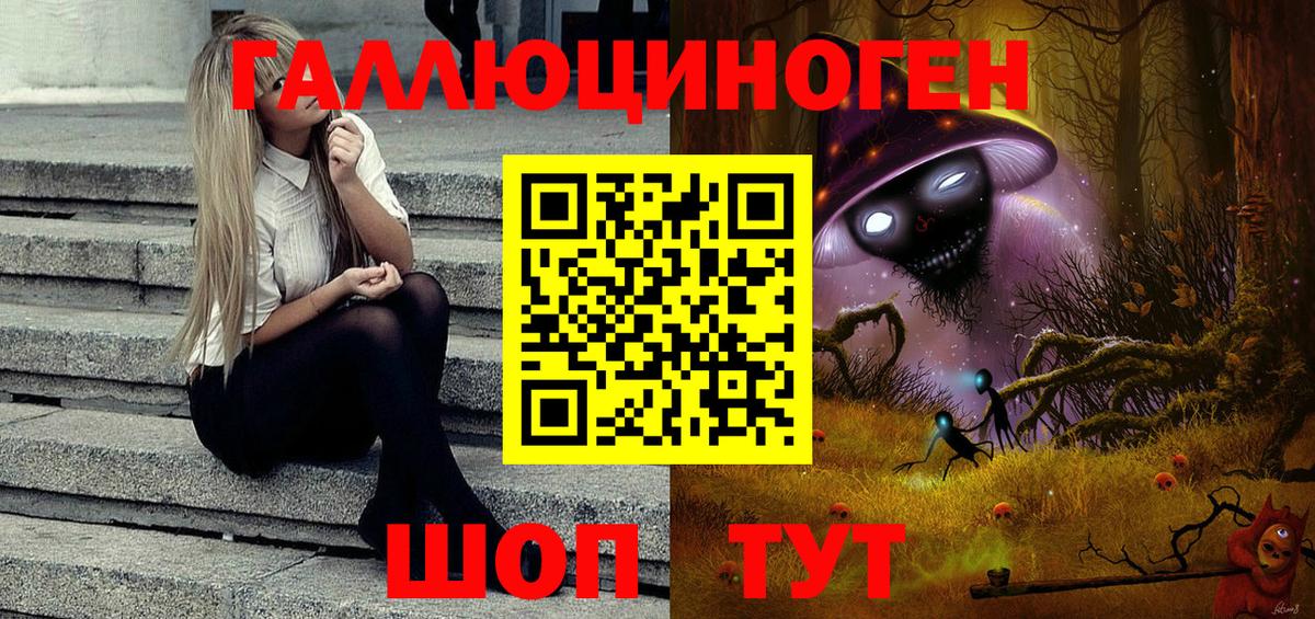 МЕФ Кингисепп