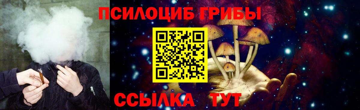 Псилоцибиновые грибы Magic Shrooms  Кингисепп  Галлюциногенные грибы ЛСД 